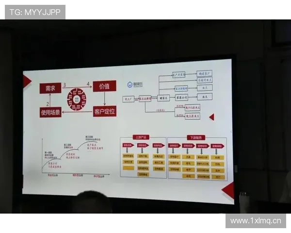 企业家视角下的企业发展战略与创新路径探析
